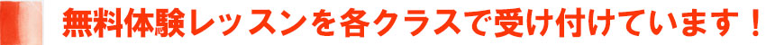 無料体験レッスンが最大4回
